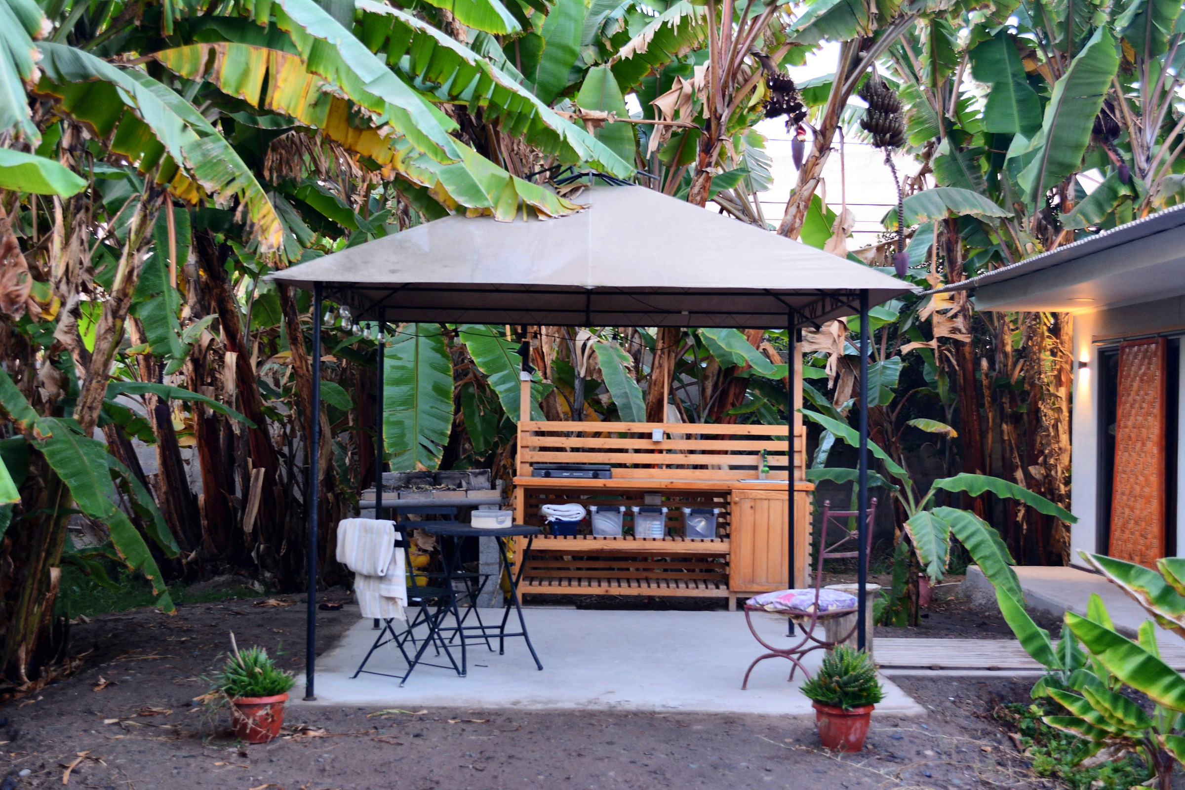 Gazebo y jardín entre platanares a pleno sol
