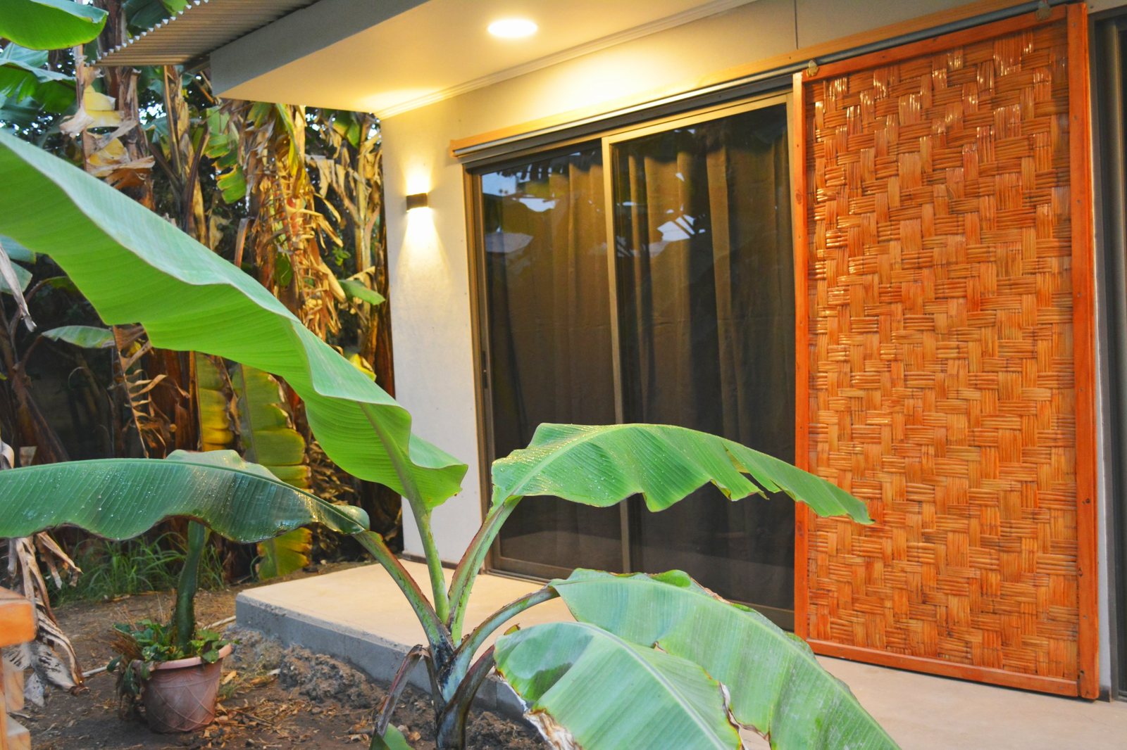 Biombo trenzado y platanera junto a la ventana